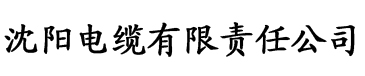 91香蕉视频app免费版电缆厂logo